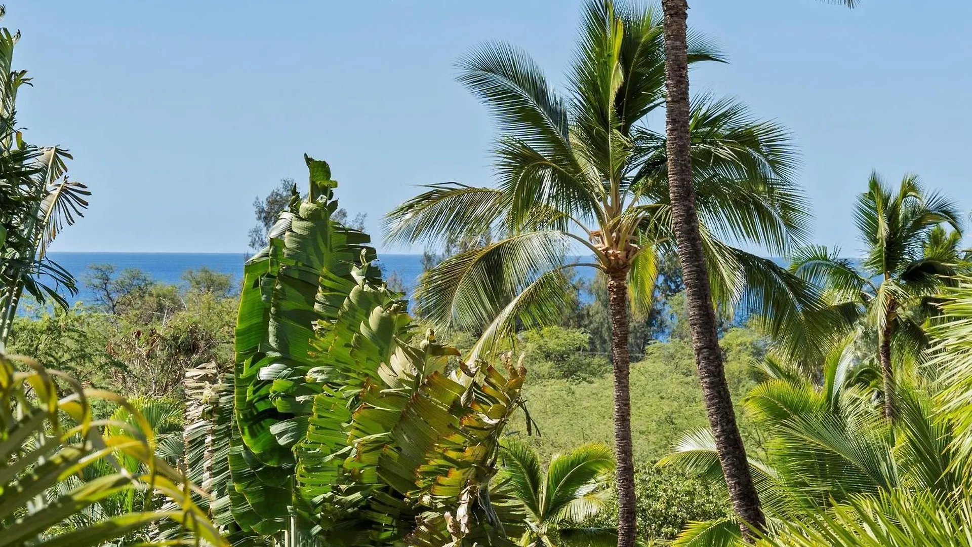 Maui Banyan T303 Condo Wailea  Wailea (Maui)