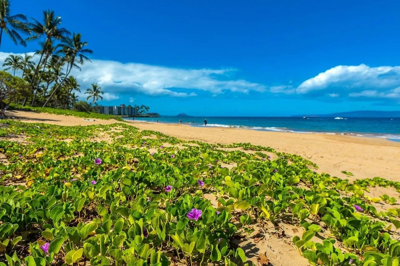 Maui Banyan T303 Condo Wailea  United States